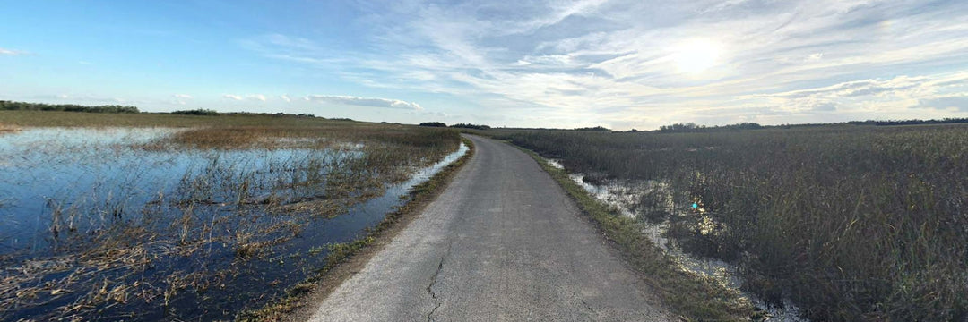 Our Favorite Scenic Bicycle Trails in South Florida