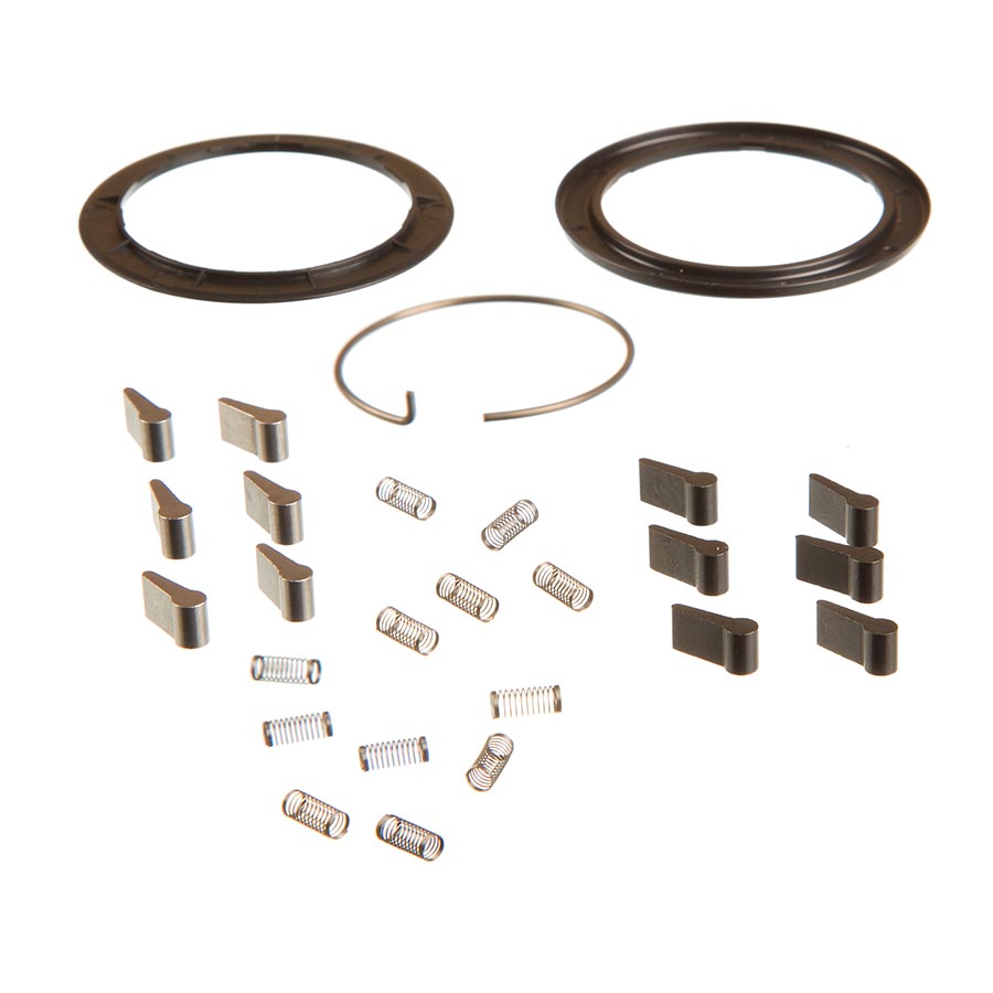 Zipp Spring and Pawl Set for ZM2 Set