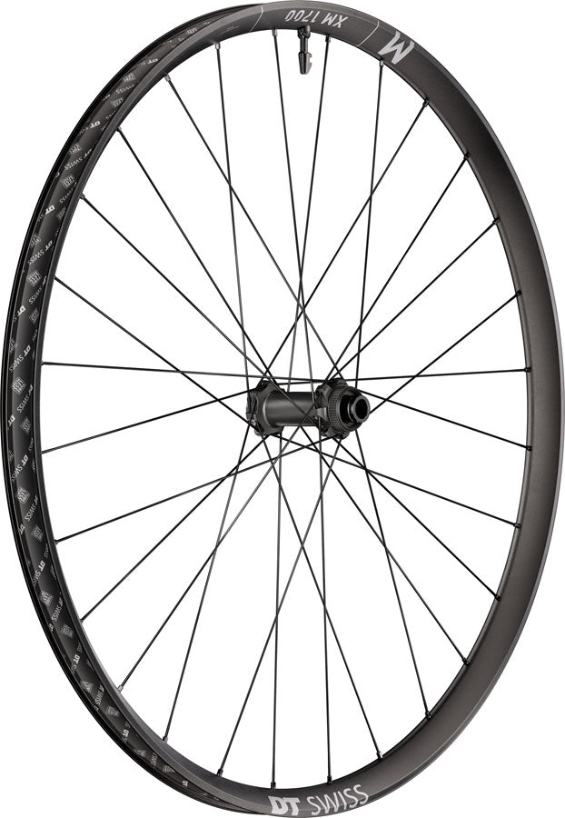 DT Swiss XM 1700 Spline 30 Front Wheel - 29" 15 x 110mm Center-Lock Black
