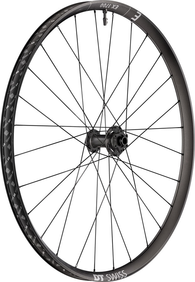 DT Swiss EX 1700 Classic 30 Front Wheel - 29" 15 x 110mm 6-Bolt Black