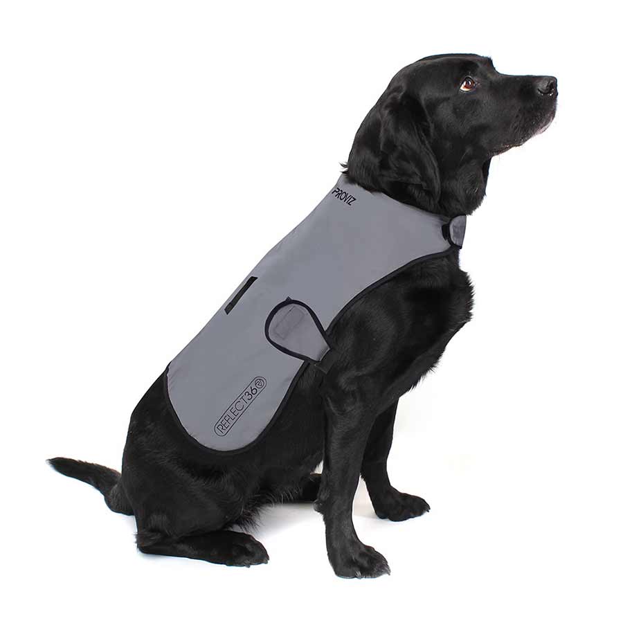 Proviz Dog Cover Silver XL
