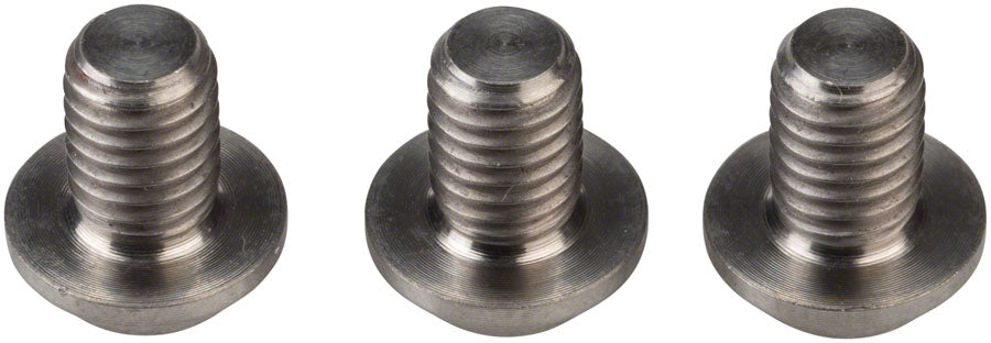 Cane Creek eeWings Chainring Bolts