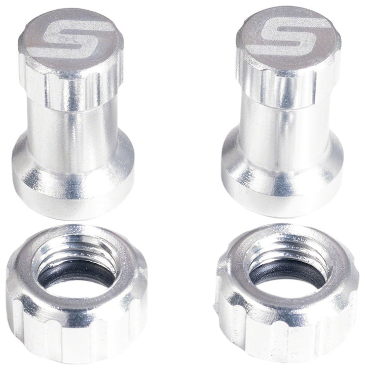 Stan's Tubeless Valve Stem Cap Color Kit - Silver Pair