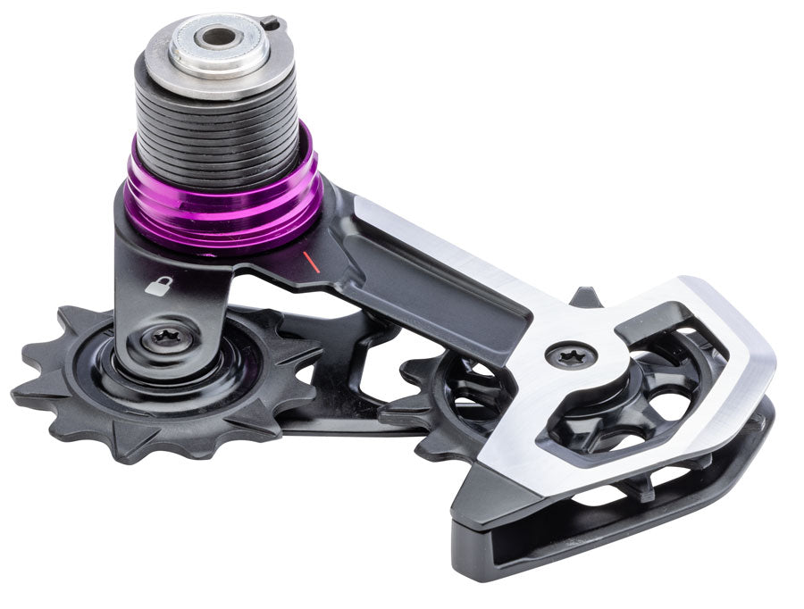 SRAM XX Downhill T-Type AXS Rear Derailleur Cage Assembly Kit - Full Replacement Cage Assembly