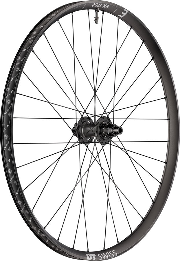 DT Swiss EX 1700 Classic 30 Rear Wheel - 29" 12 x 148mm 6-Bolt XD DEG 72 DF BLK