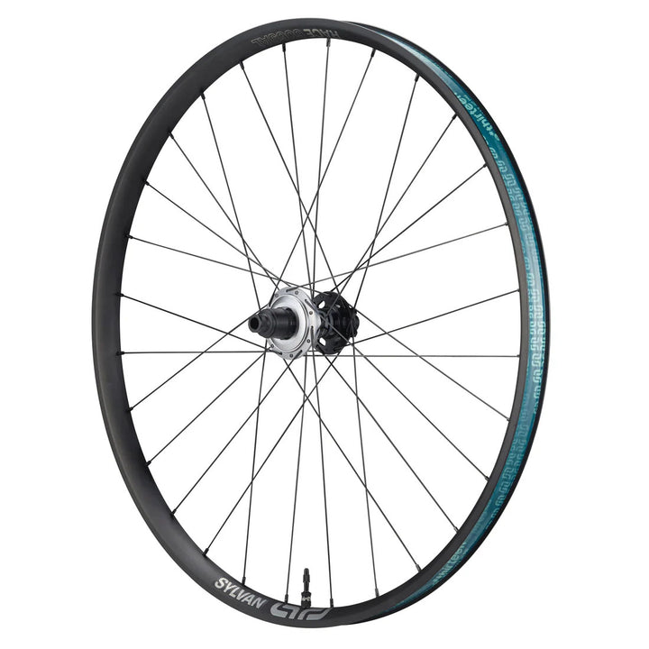 E*thirteen Sylvan Sidekick Race Alum R Wheel 29" 12x148 XD Blk